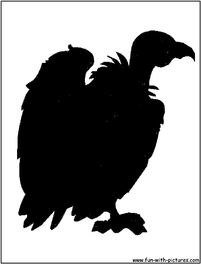 Buzzard2 Silhouette