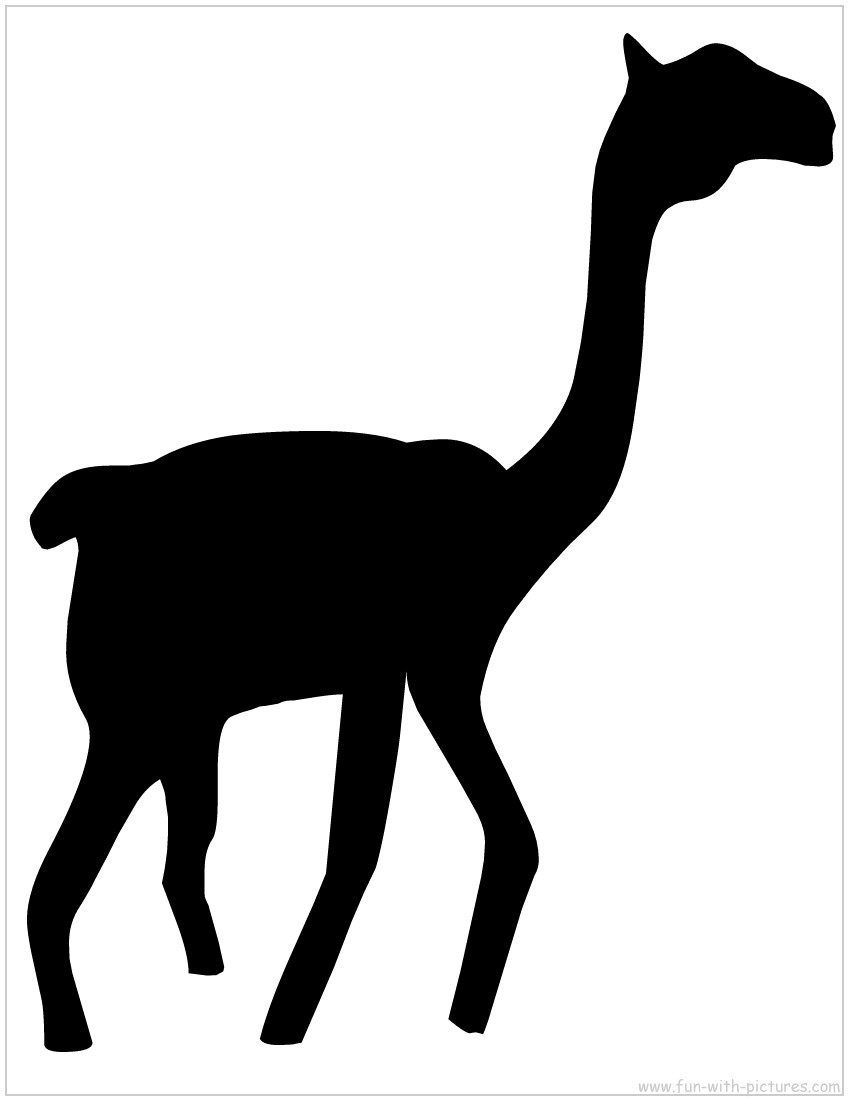 Camel Silhouette