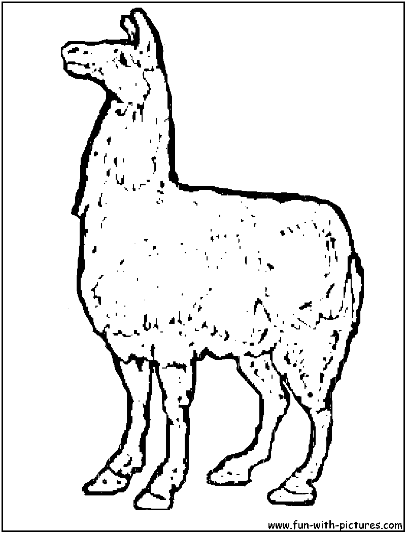 Cartoon Brown Llama Coloring Page 