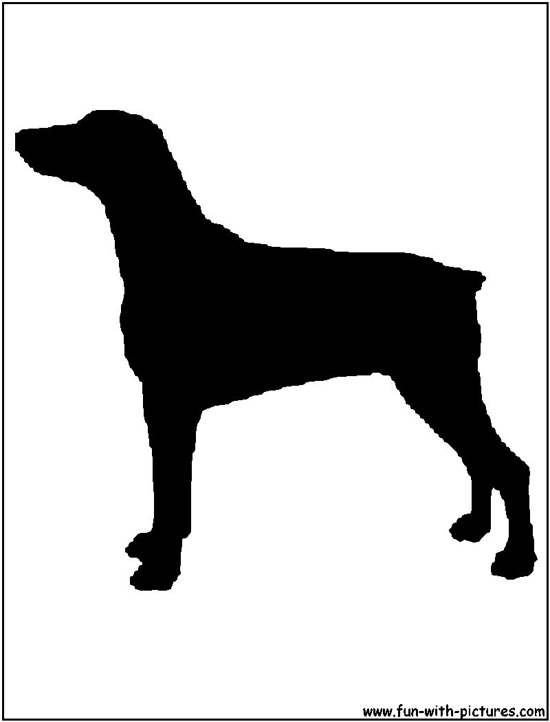 Dobermann Silhouette