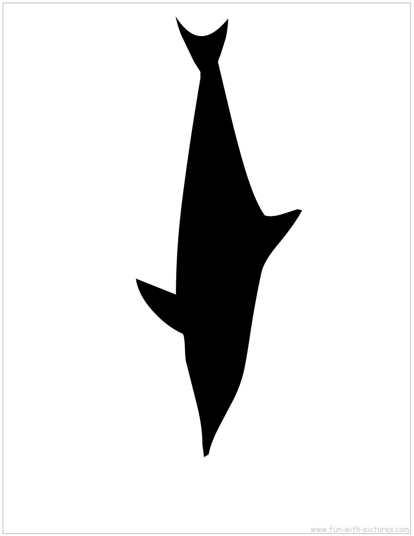 Dolphin Silhouette