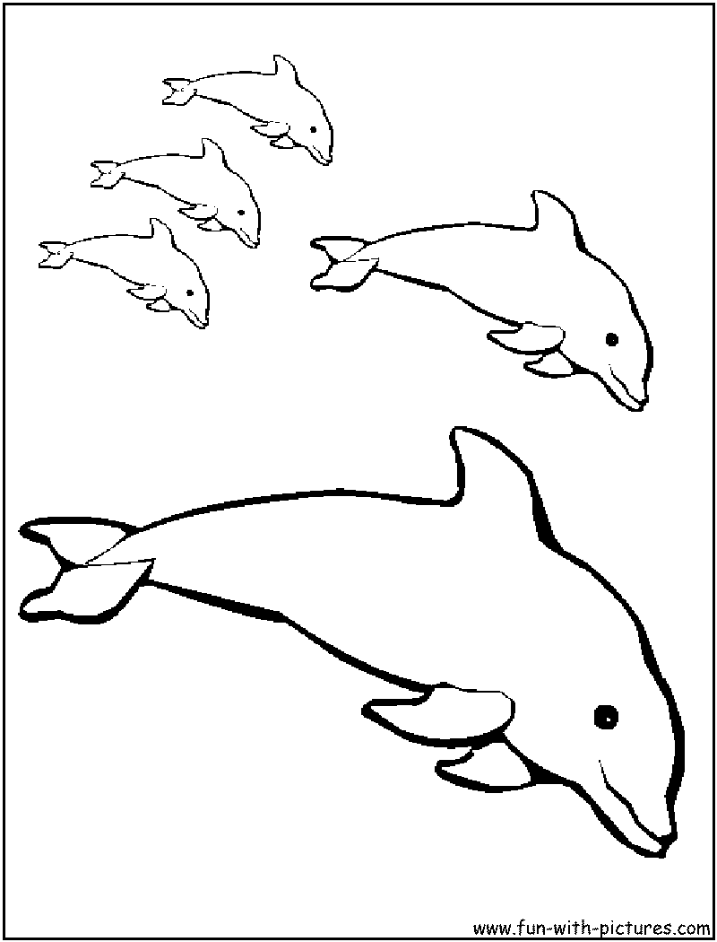 Whale And Dolphin Coloring Pages