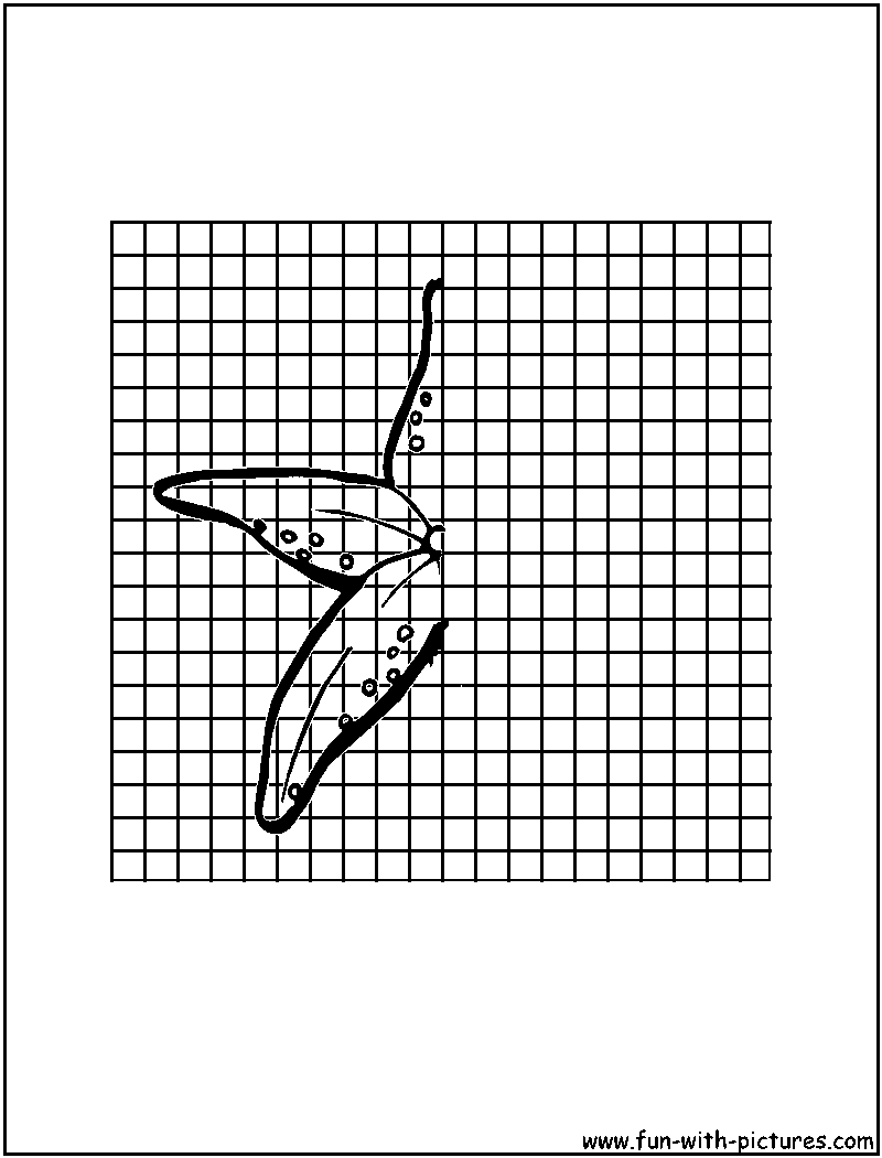 Draw Color Starfish Coloring Page 