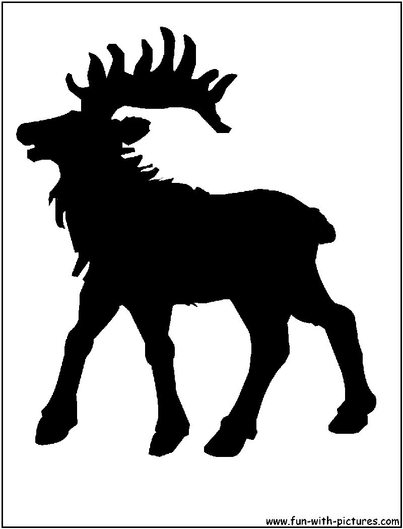 Elk Silhouette