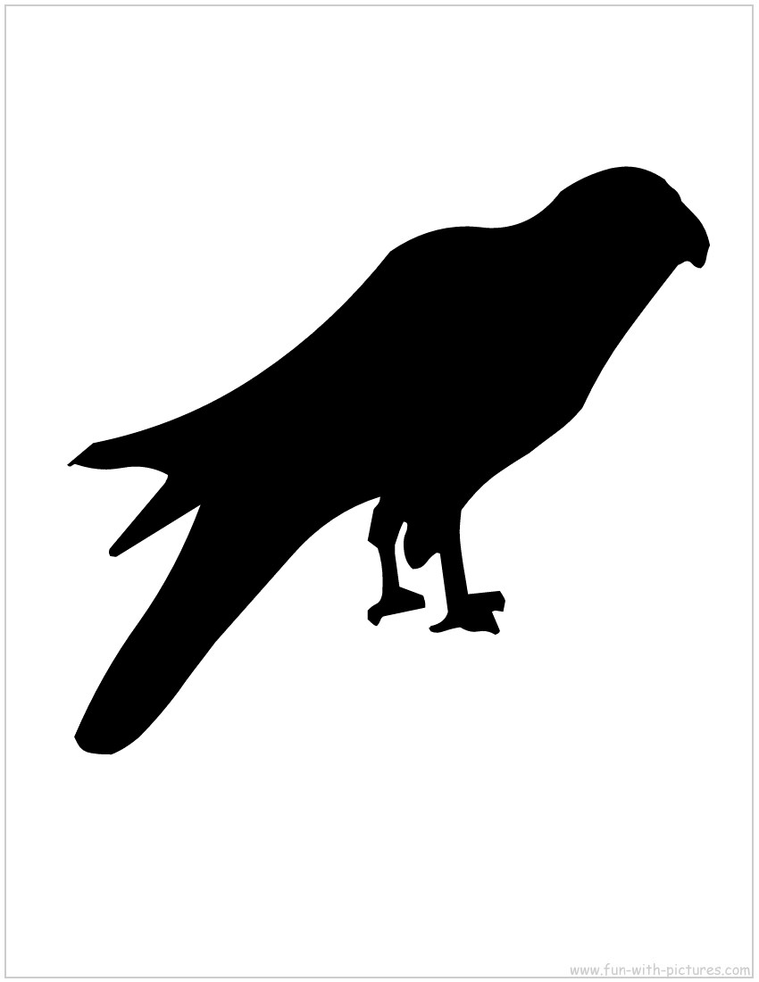 Falcon Silhouette