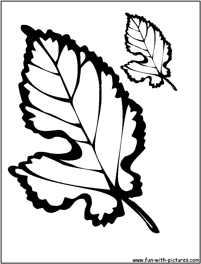 Autumn Leaves Coloring Pages - Bilscreen