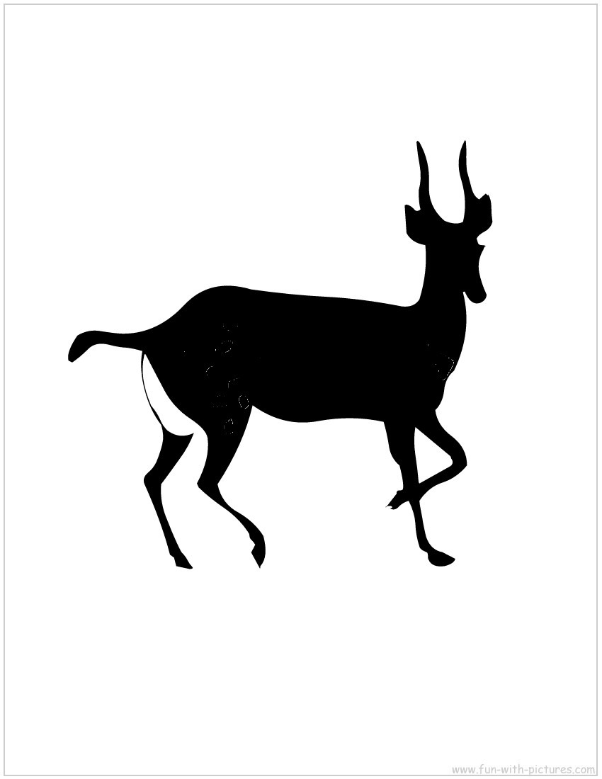 Gazelle Silhouette