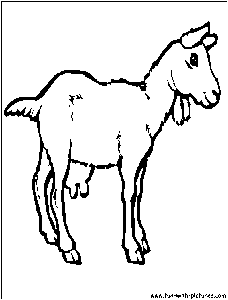Goat Coloring Page 