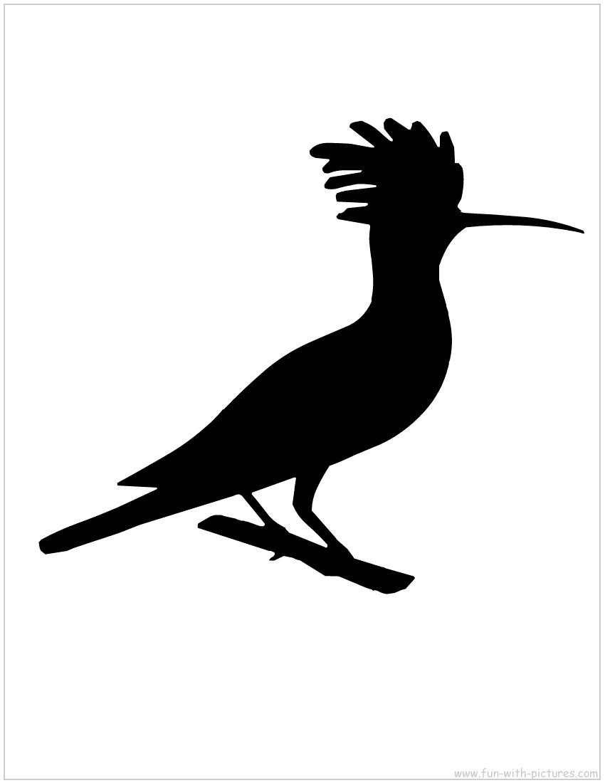 Hoopoe Silhouette