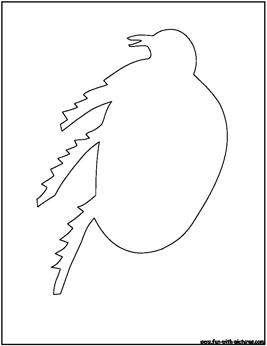 Katydid Outline Coloring Page 