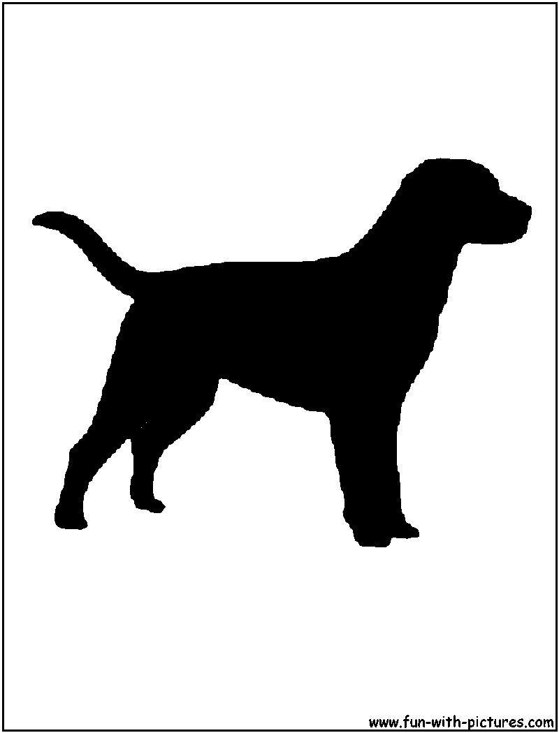 Labrador Silhouette