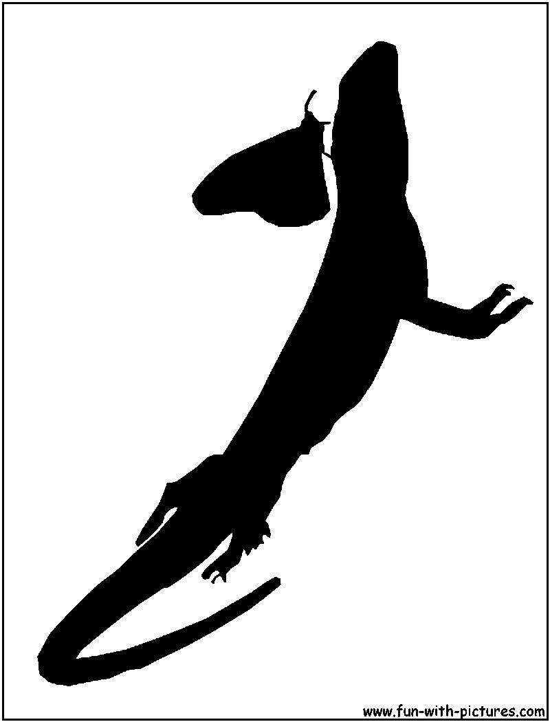 Lizard Butterfly Silhouette