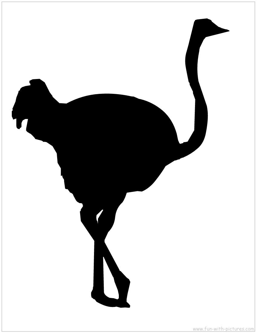 Ostrich Silhouette