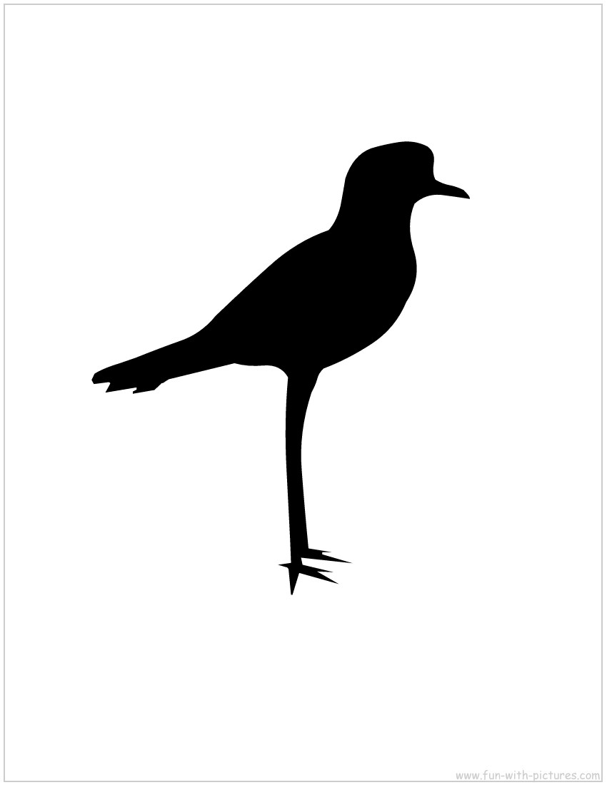 Plover Silhouette