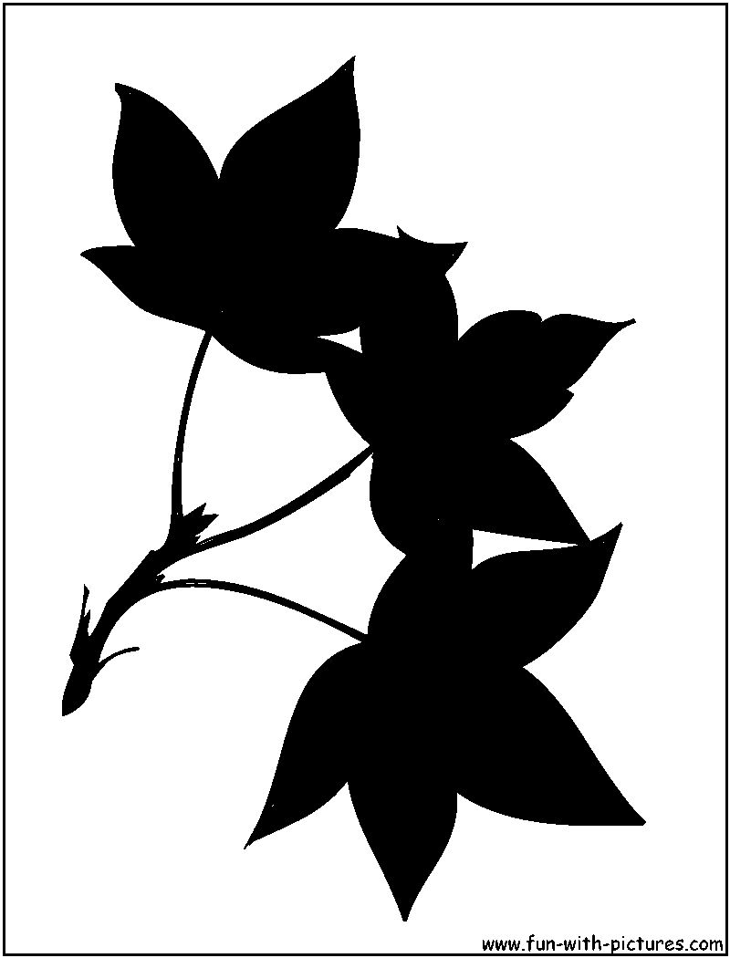 Poplar Leaves Silhouette