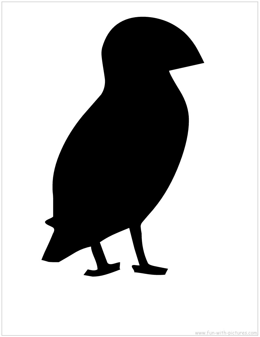 Puffin Silhouette