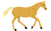 Funny Picture - Runnung Horse