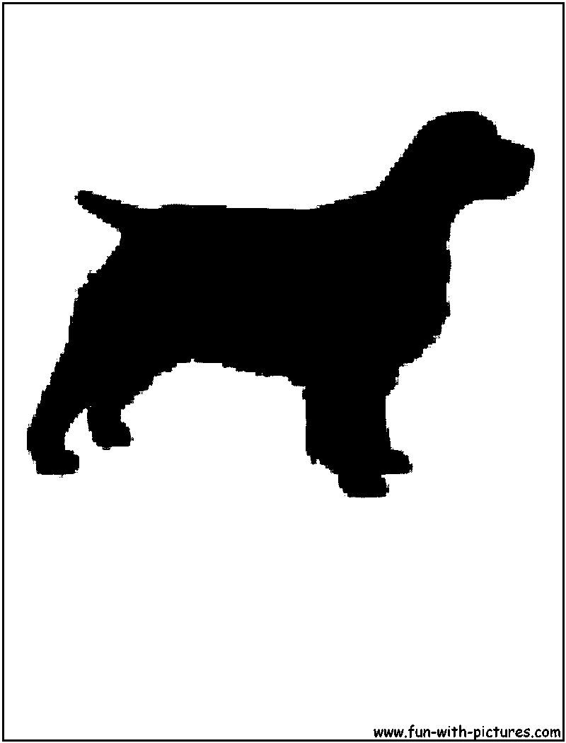 Spaniel Silhouette