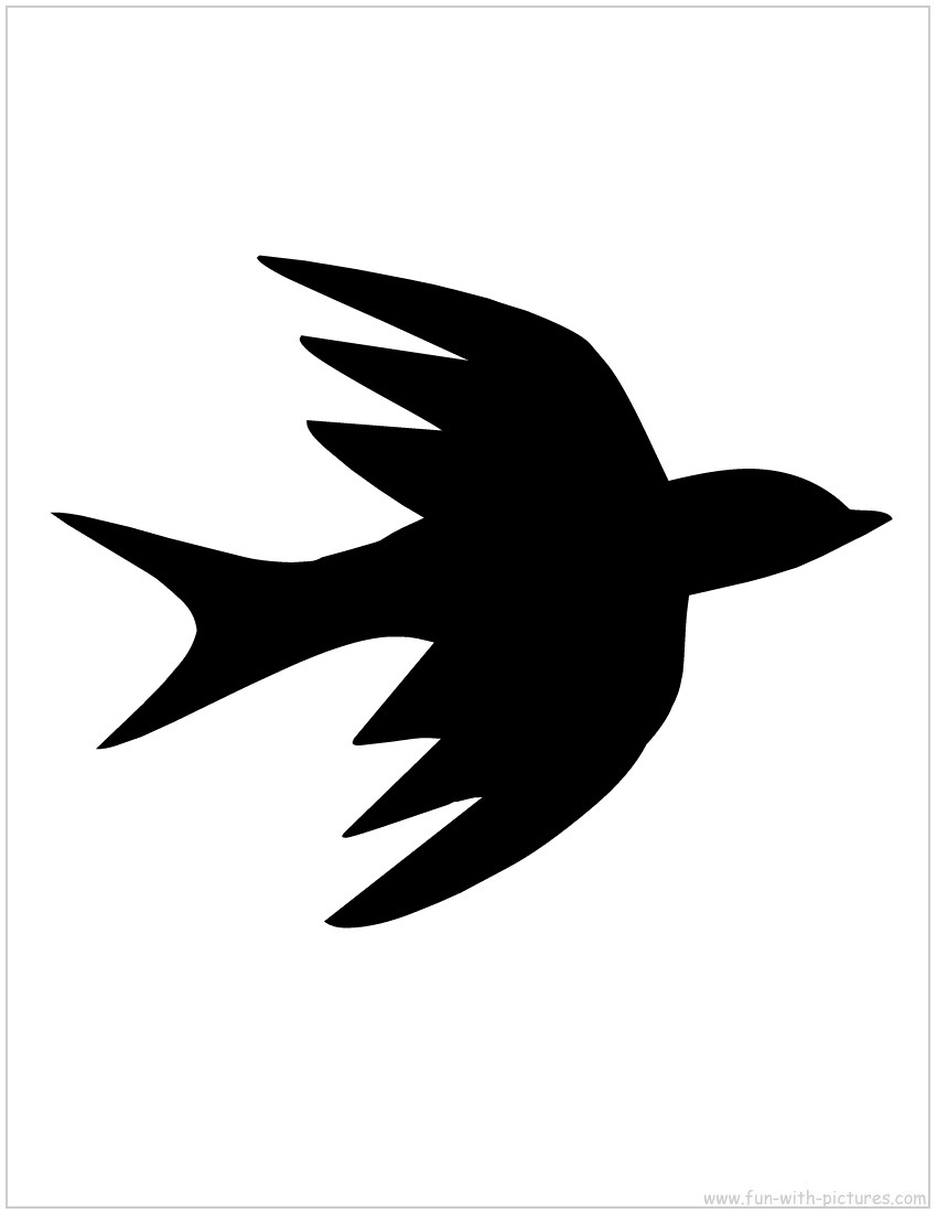 Swallow Silhouette