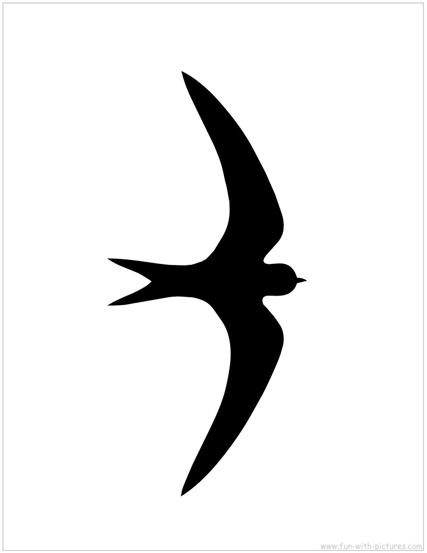 Swift Silhouette