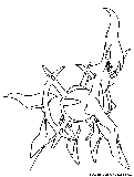 arceus