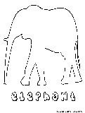 asian elephant