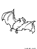 Bat Coloring Page 