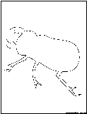 beetle outline