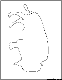 bison outline