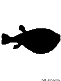 blowfish silhouette