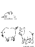Boar Sow Coloring Page 