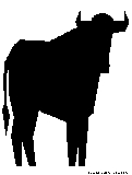 bull silhouette