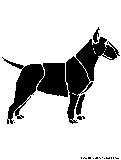 bullterrier stencil