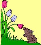 bunny flowers easter card