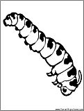 caterpillar