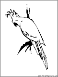 Cockatoo Coloring Page 