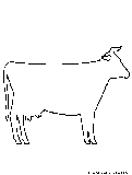 Cow Coloring Page 