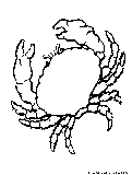 Crab Coloring Page 