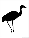crane silhouette