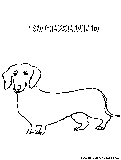 Dachshund Coloring Page 
