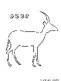 Deer Coloring Page 