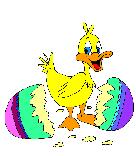 Easter Chick eCard