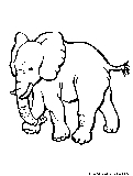 Elephant Coloring Page 