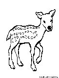 Fawn Coloring Page 