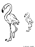 Flamingo Coloring Page 