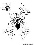 flowers design