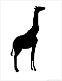 giraffe silhouette