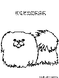 Havanese Coloring Page 