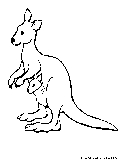 Kangaroo Coloring Page 