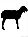 lamb silhouette